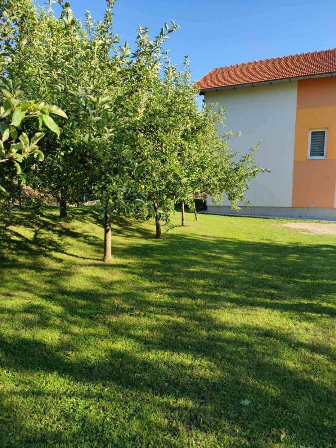 Una National Park Apartment Bihać Dış mekan fotoğraf